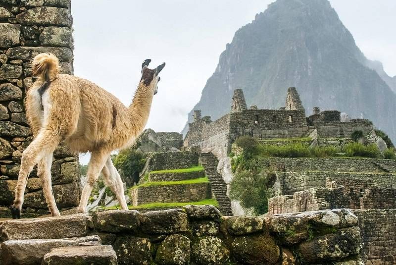 10 Tips for Your First Visit to Machu Picchu